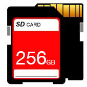 SD CARD 256GB